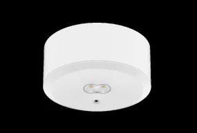 Tro- 600-025 Emergency Downlight 3W 140Grm White Auto Test
